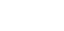 Digital Services